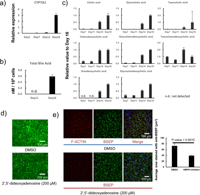 PMC11272753 – Fig6