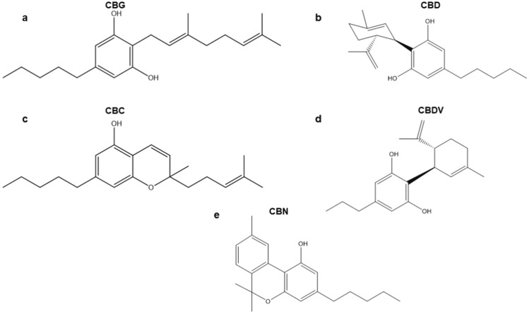 PMC11402852 – Fig1