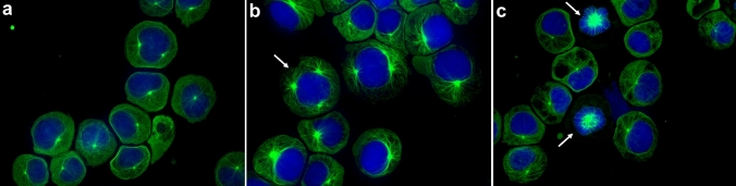 PMC11402852 – Fig7