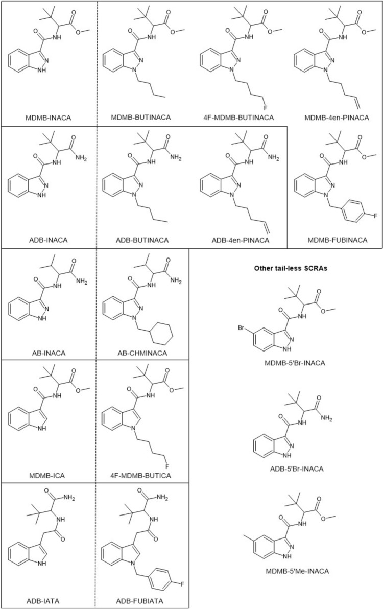 PMC12408681 – Fig1