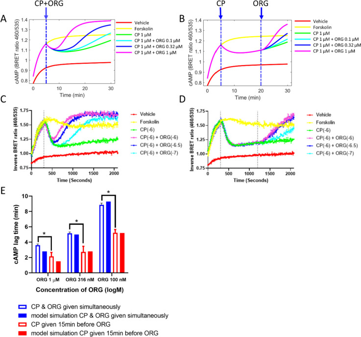PMC11166842 – Fig5