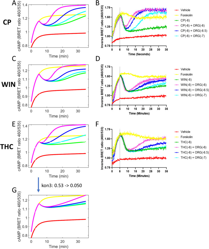 PMC11166842 – Fig6
