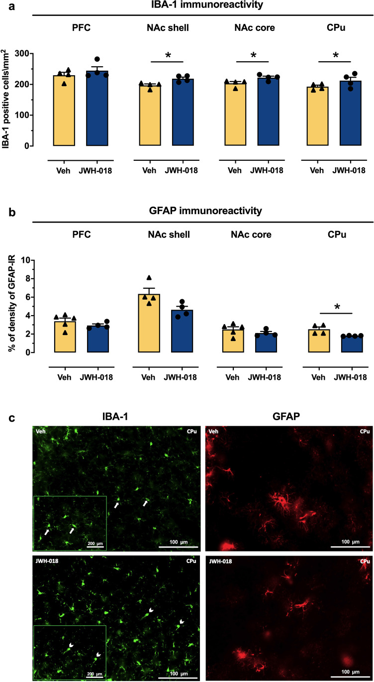 PMC9481487 – Fig4