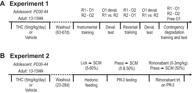 PMC10102061 – Fig1