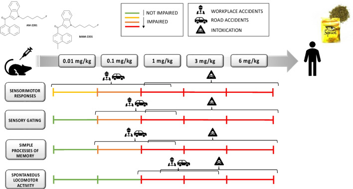 PMC10272271 – Fig7