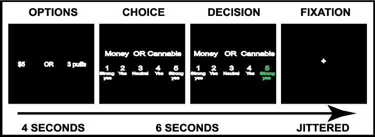 PMC11890362 – Fig1