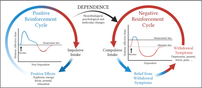 PMC12578779 – Fig1