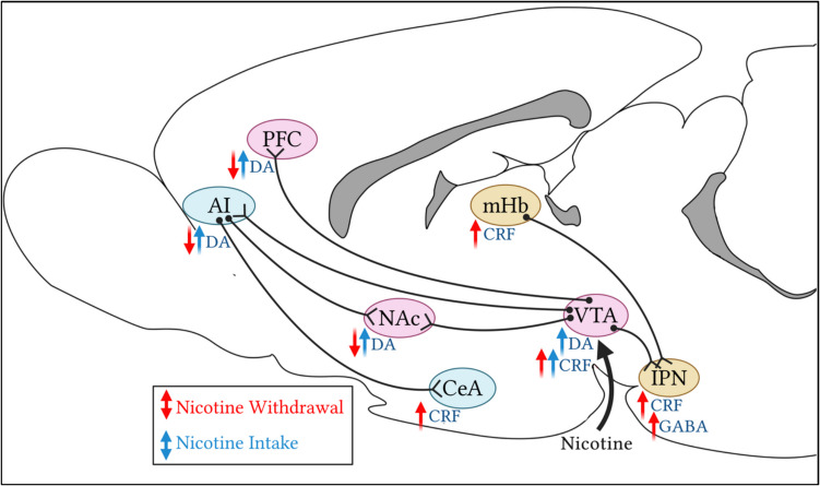 PMC12578779 – Fig2