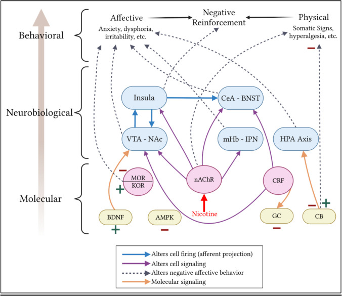 PMC12578779 – Fig3