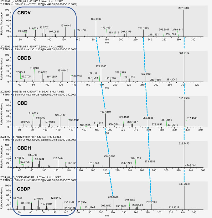 PMC11294429 – Fig6