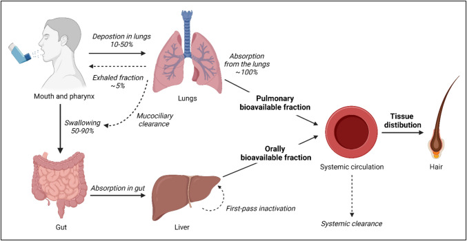 PMC12680825 – Fig1