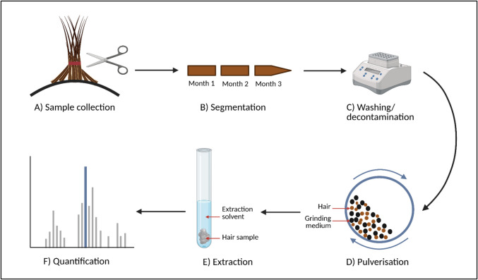 PMC12680825 – Fig2