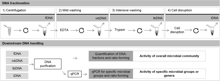 PMC5847193 – Fig1