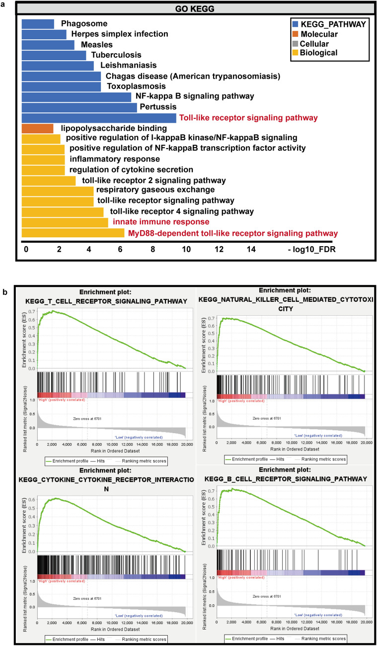 PMC8783894 – Fig4
