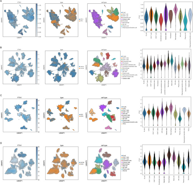 PMC10822802 – Fig6