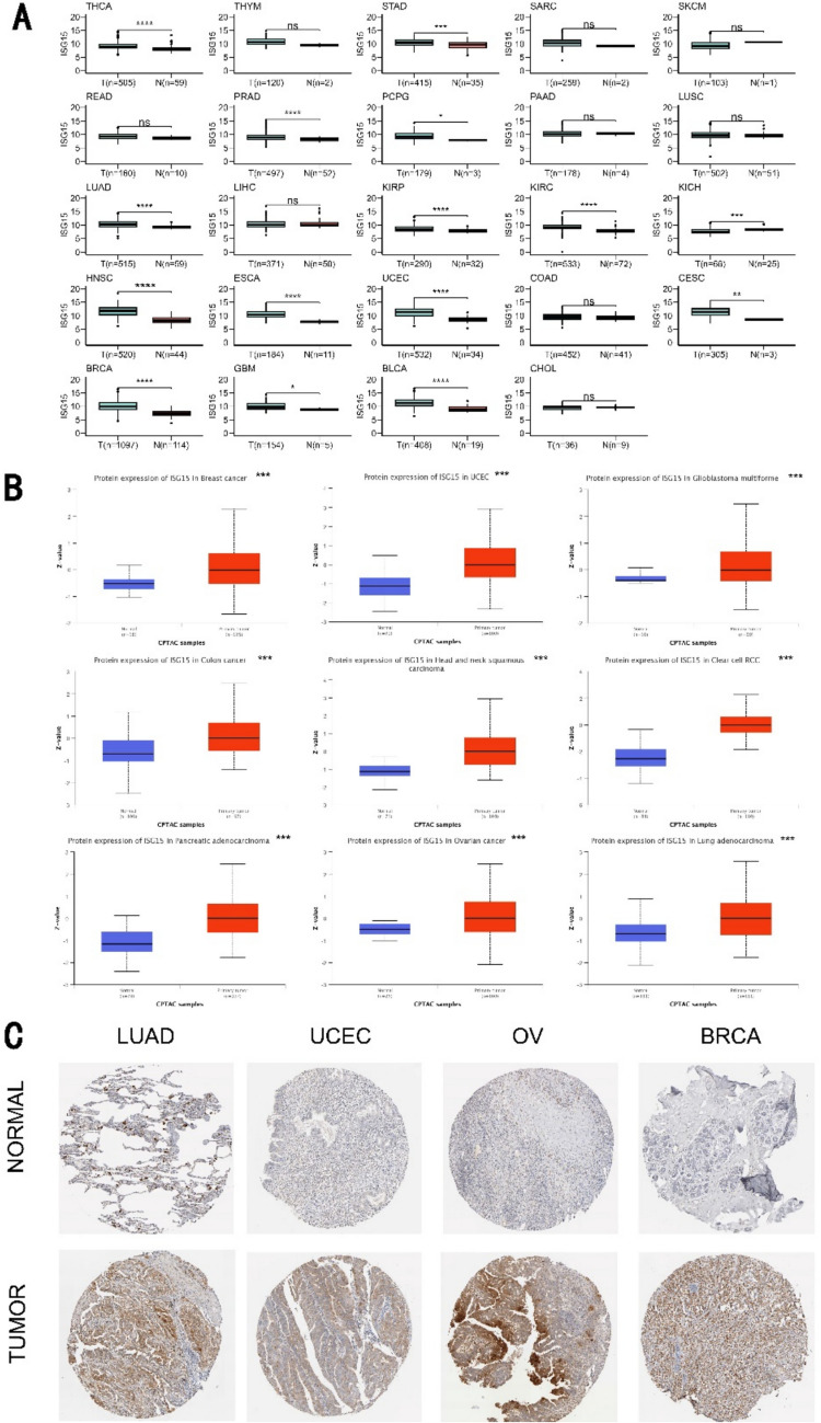 PMC11985735 – Fig1
