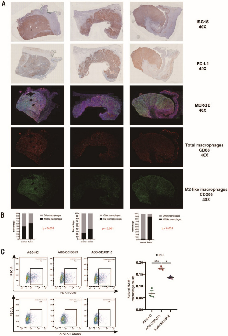 PMC11985735 – Fig6