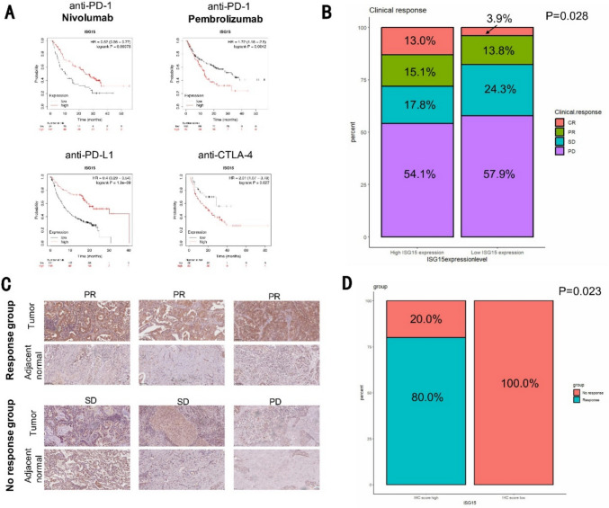PMC11985735 – Fig7