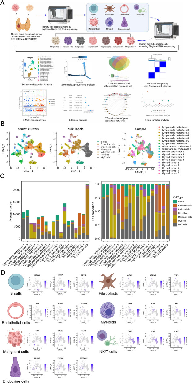 PMC12255609 – Fig1