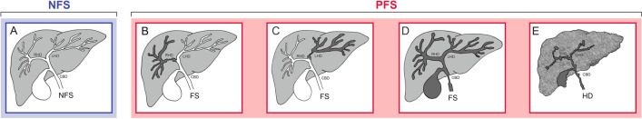 PMC10667158 – Fig2