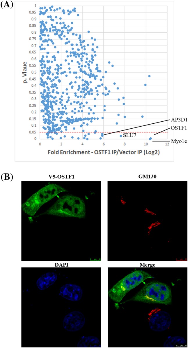 PMC5680368 – Fig10