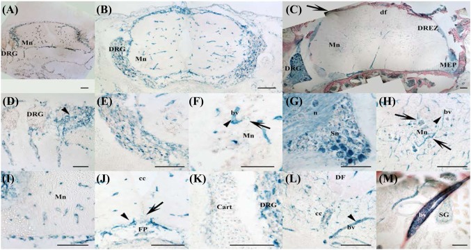 PMC5680368 – Fig3