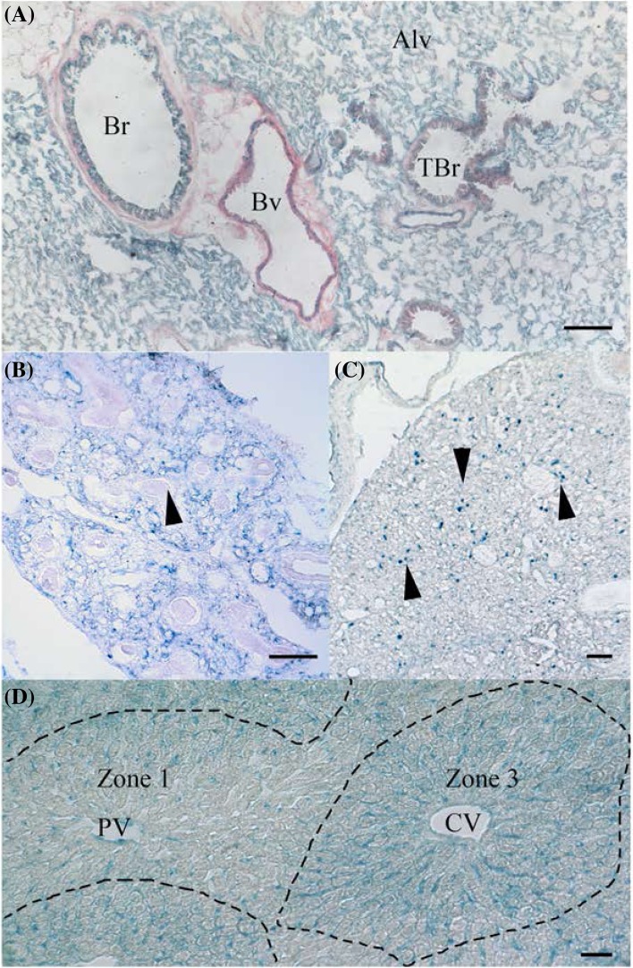 PMC5680368 – Fig5