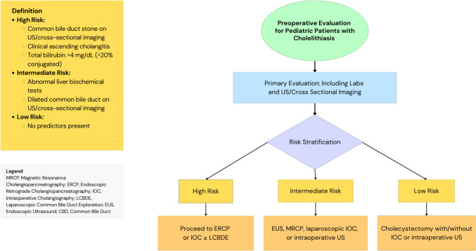 PMC12092475 – Fig1