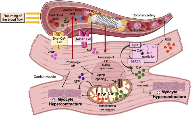 PMC12325465 – Fig2
