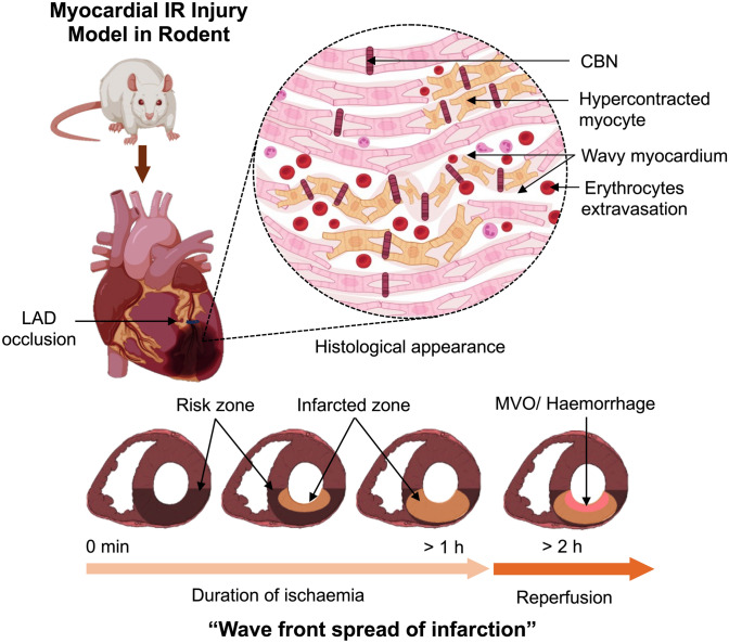 PMC12325465 – Fig3