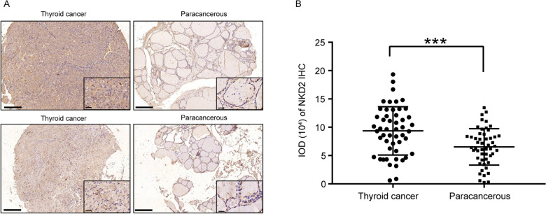 PMC9641892 – Fig5
