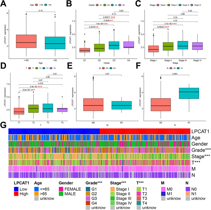 PMC9617428 – Fig3