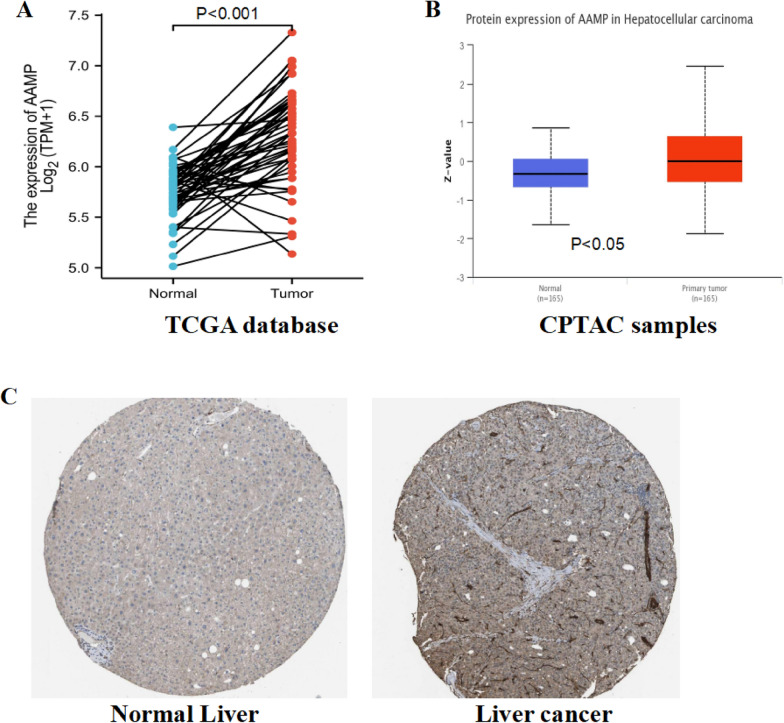 PMC10373365 – Fig4