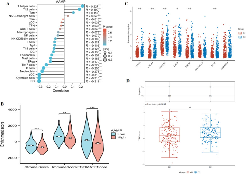 PMC10373365 – Fig7