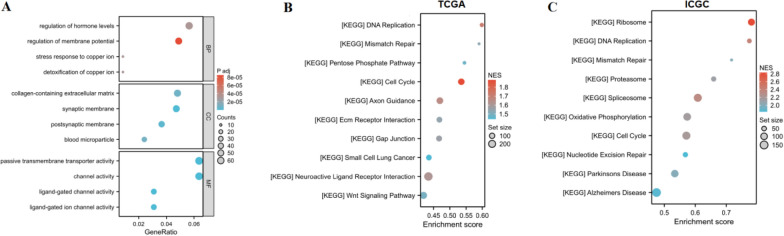 PMC10373365 – Fig8