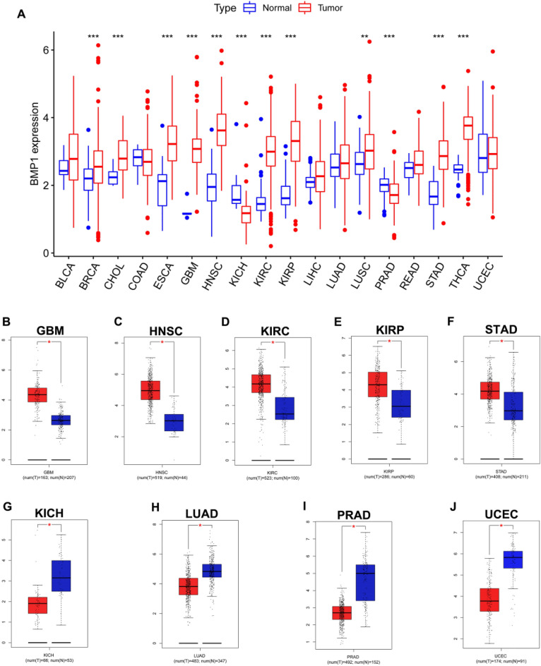 PMC10580559 – Fig1