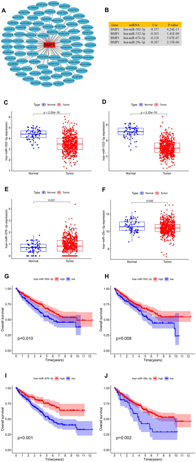 PMC10580559 – Fig4