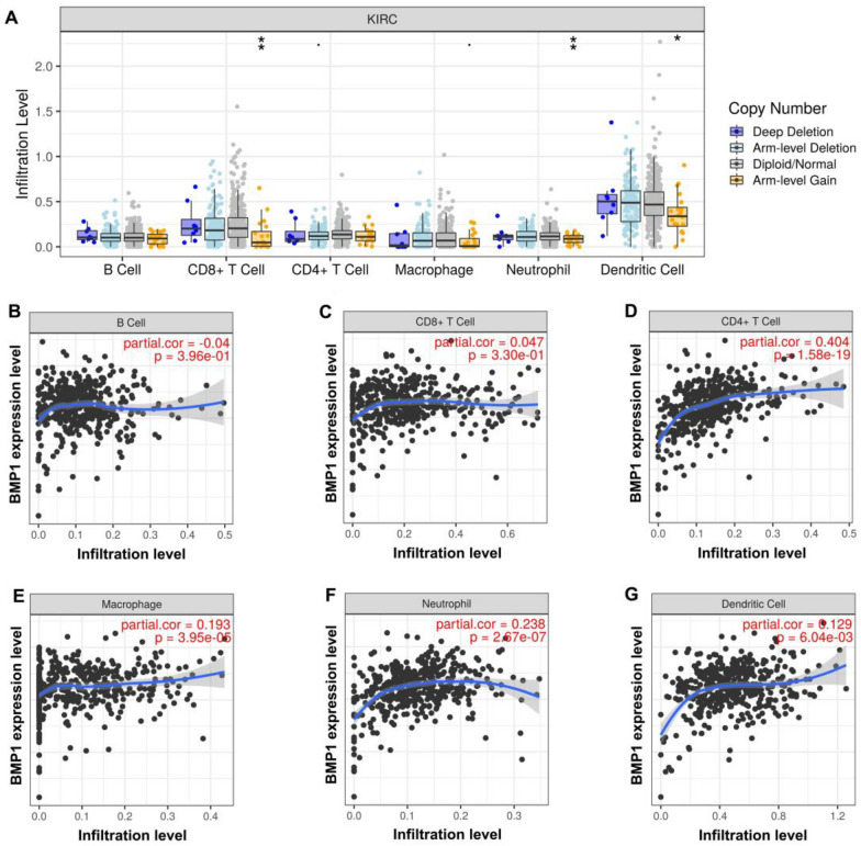 PMC10580559 – Fig7