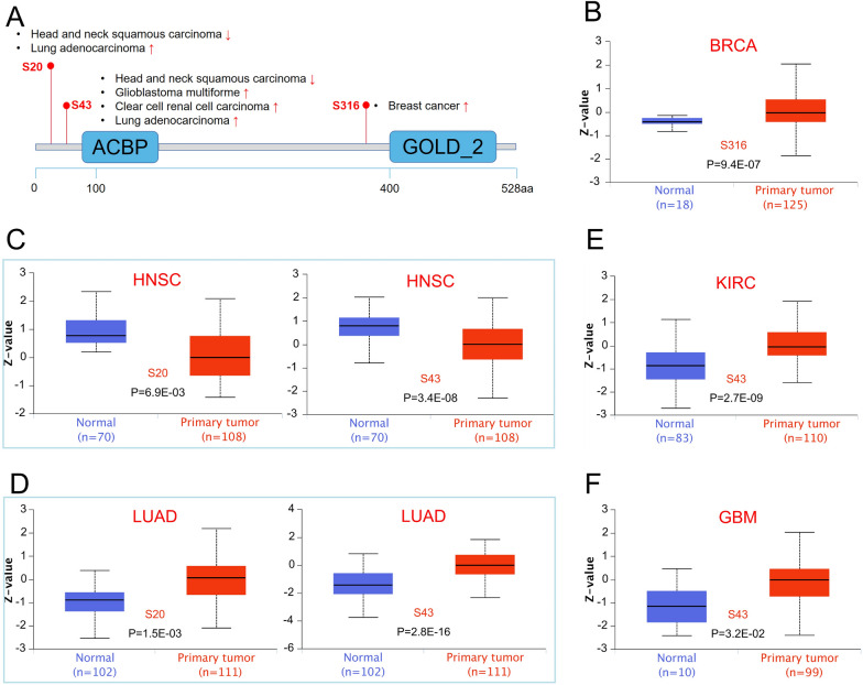 PMC10720239 – Fig10