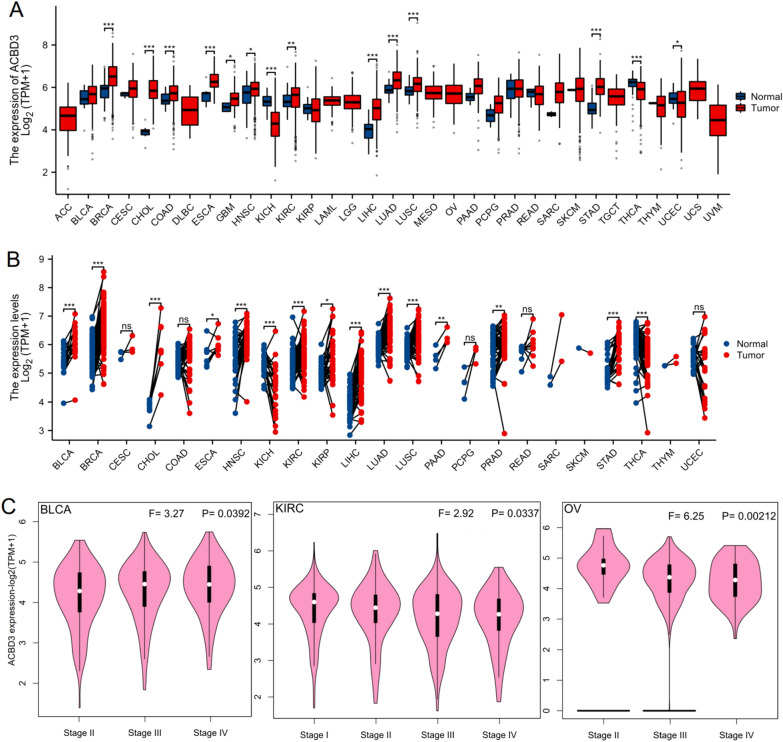 PMC10720239 – Fig1