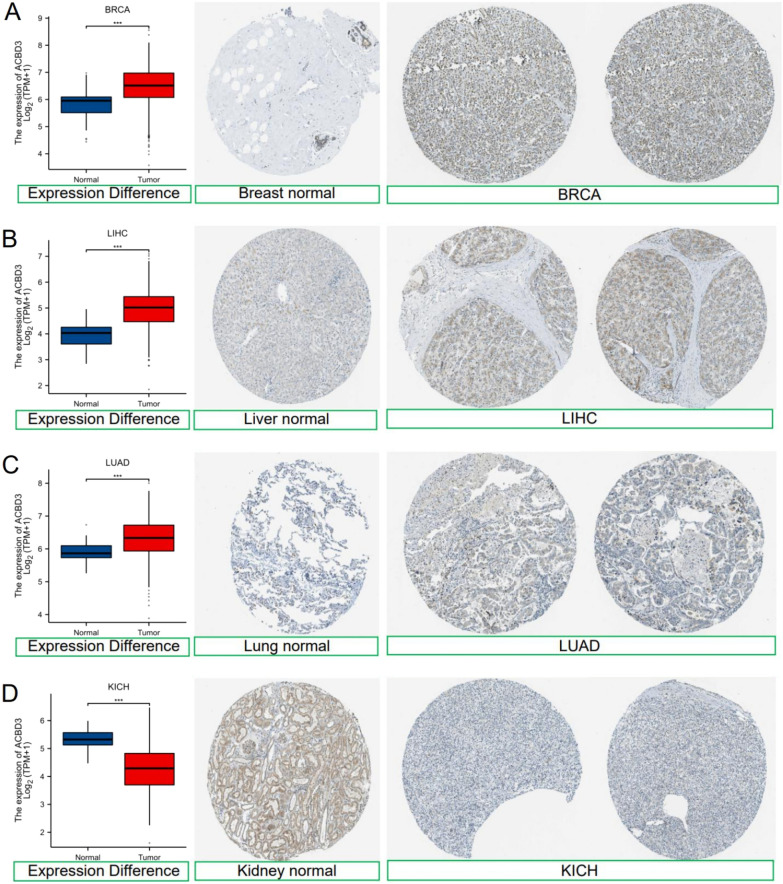 PMC10720239 – Fig2