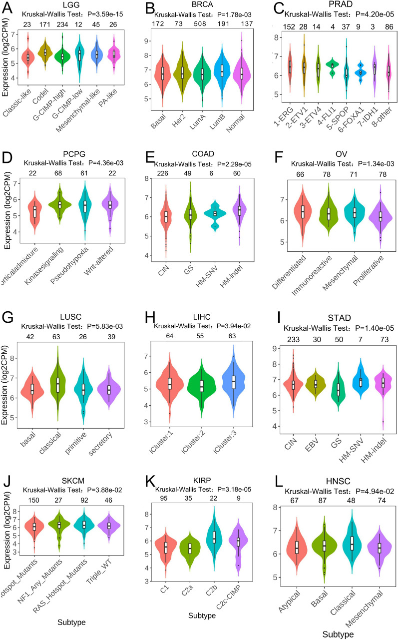 PMC10720239 – Fig4