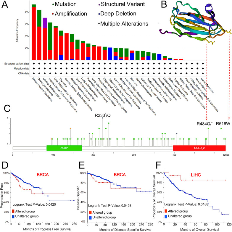 PMC10720239 – Fig8