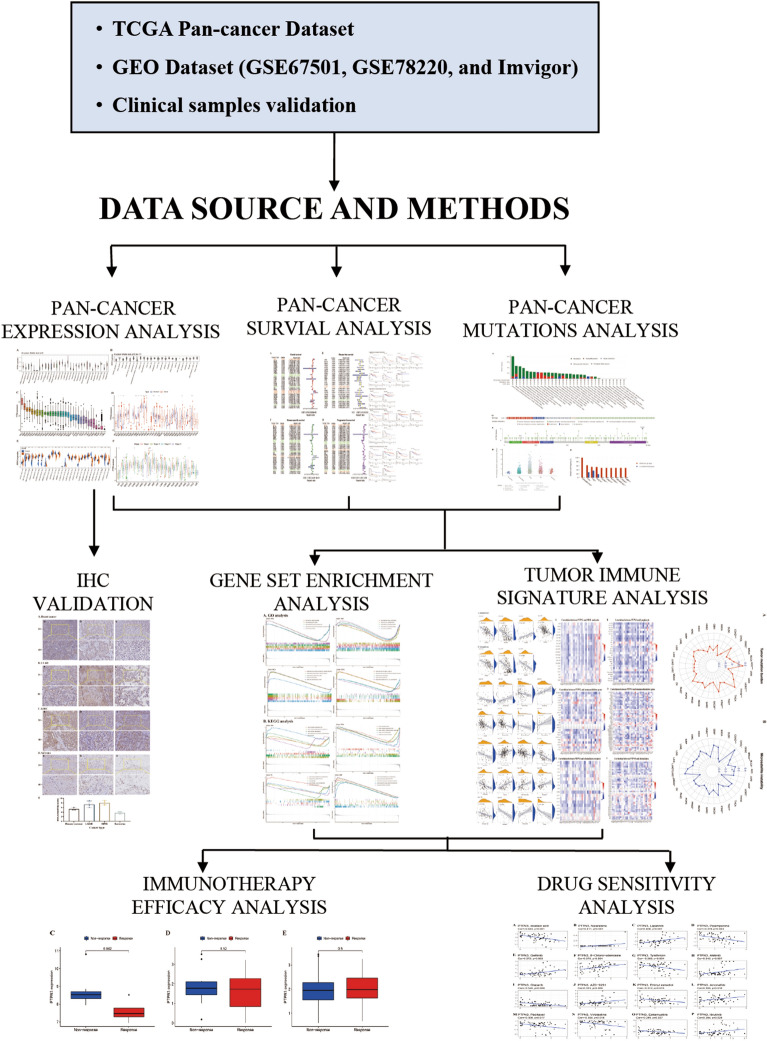 PMC10762909 – Fig1
