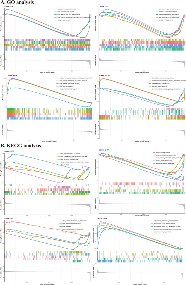 PMC10762909 – Fig9