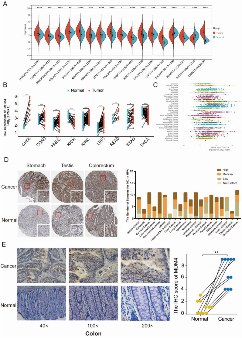 PMC10821240 – Fig1