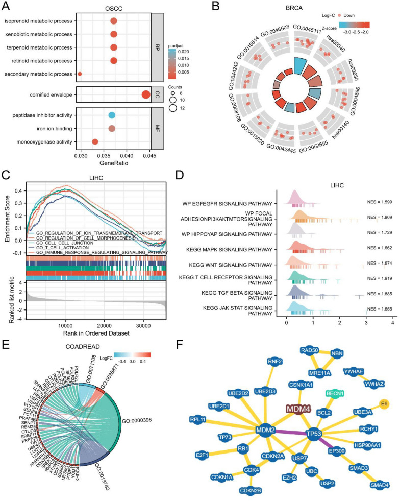 PMC10821240 – Fig6