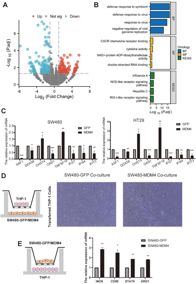 PMC10821240 – Fig7
