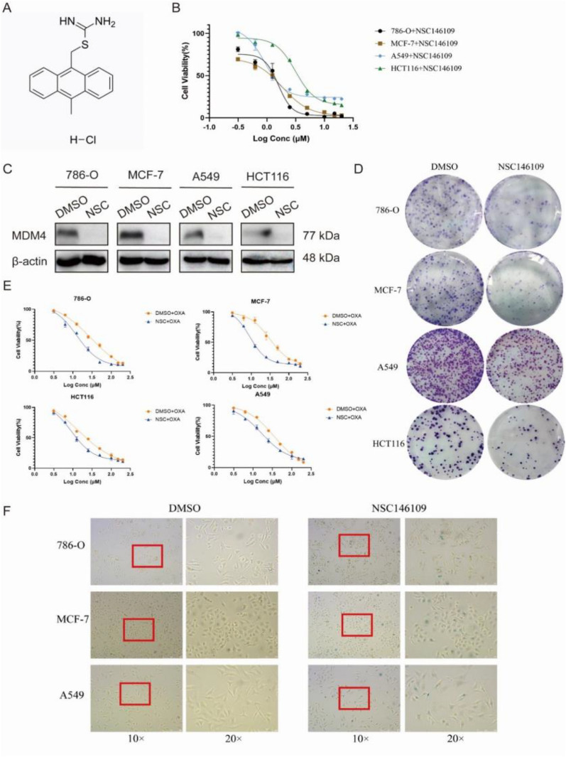 PMC10821240 – Fig8