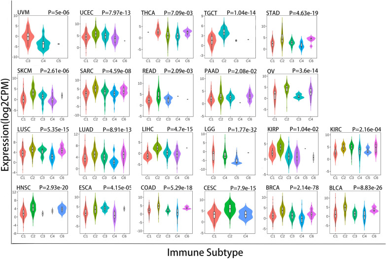 PMC10967207 – Fig10